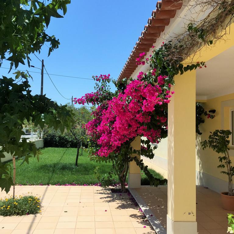 Por-Do-Sol Villa São Pedro do Corval Cameră foto
